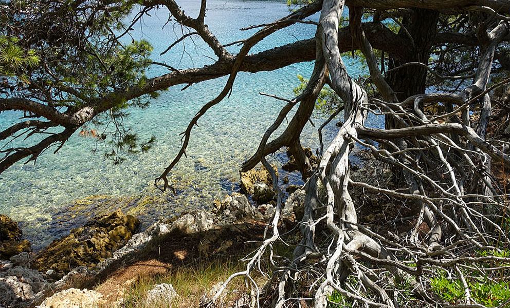 Lastovo mit Alexandra Neubecker