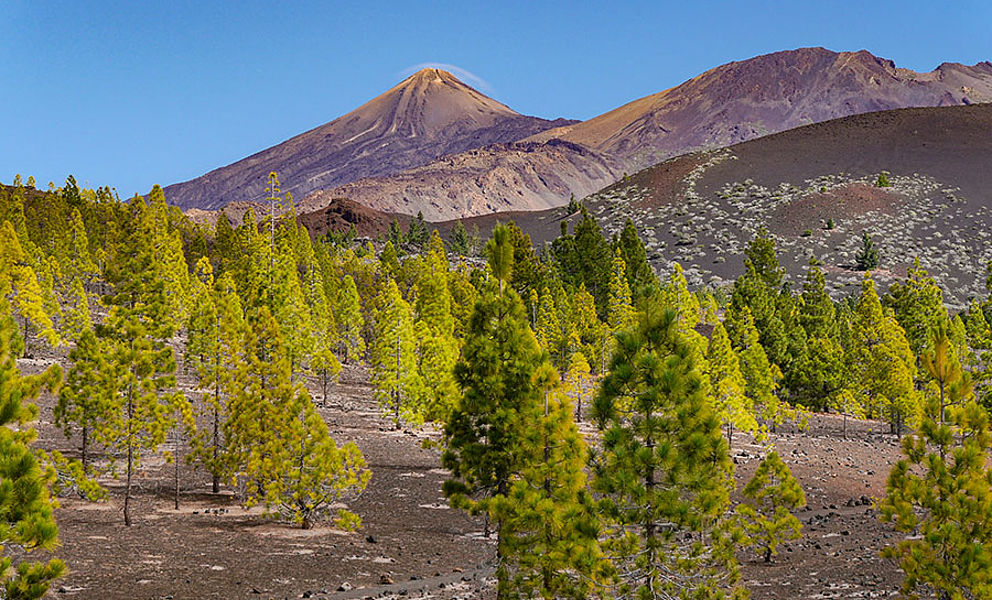 Teneriffa mit Alexandra Neubecker