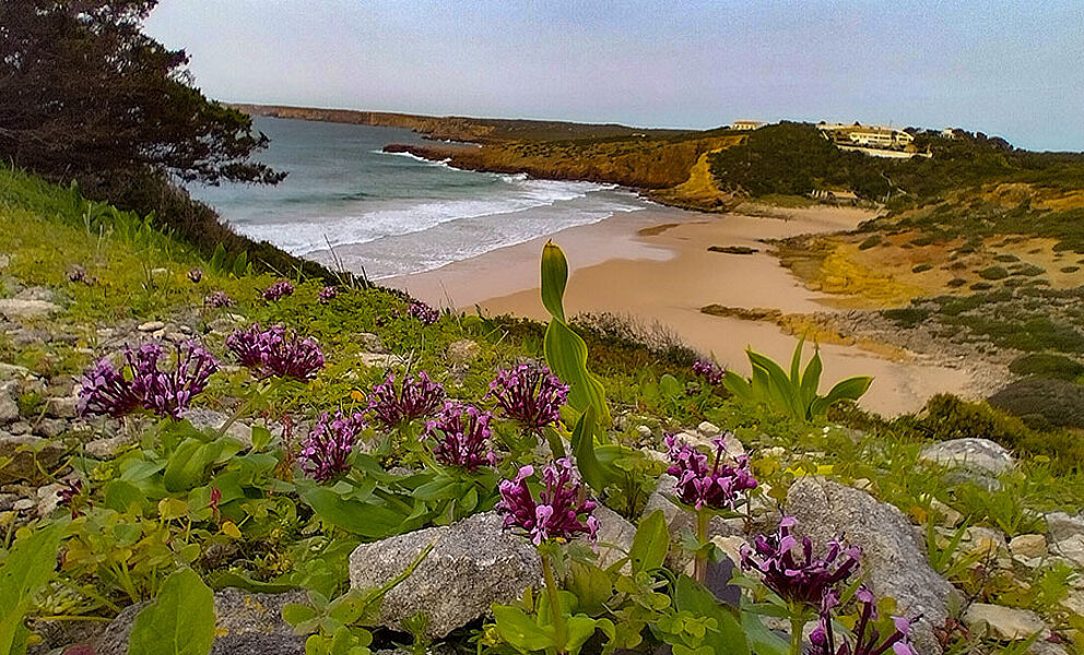 Rota Vicentina mit Alexandra Neubecker