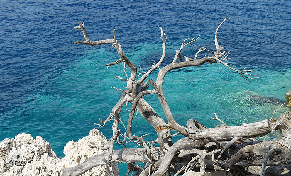 Lastovo mit Alexandra Neubecker