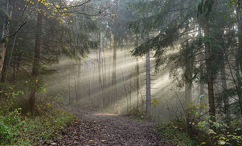 Breitenstein Bayern mit Alexandra Neubecker