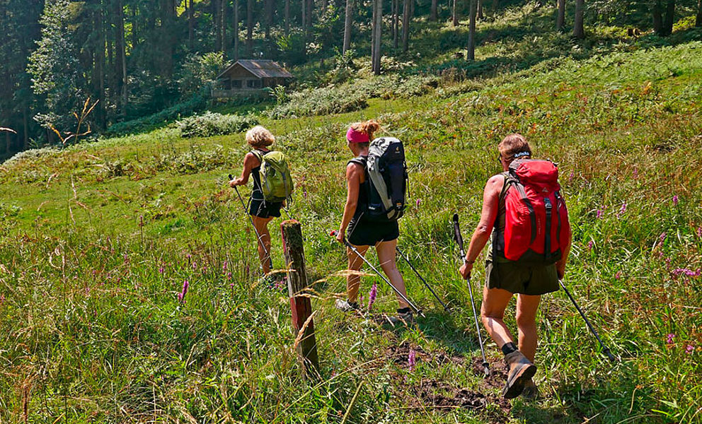 Salzkammerguttrail mit Alexandra Neubecker