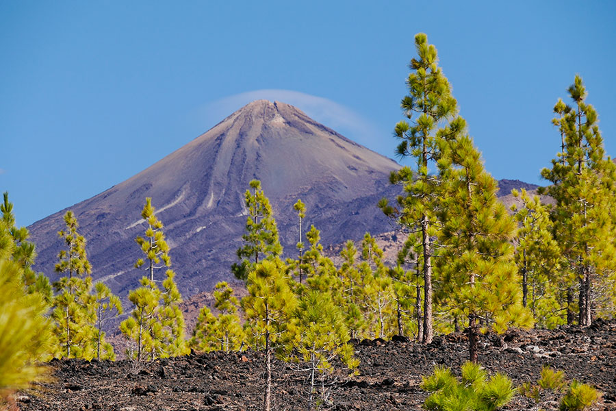 Wilde Berge in Teneriffa mit Alexandra Neubecker